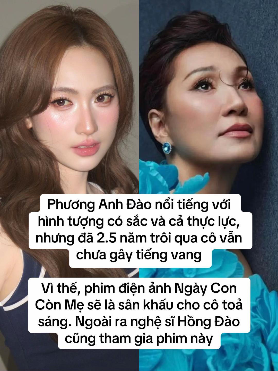 Hết ki&ecirc;n nhẫn với Phương Anh Đ&agrave;o- Ảnh 1.