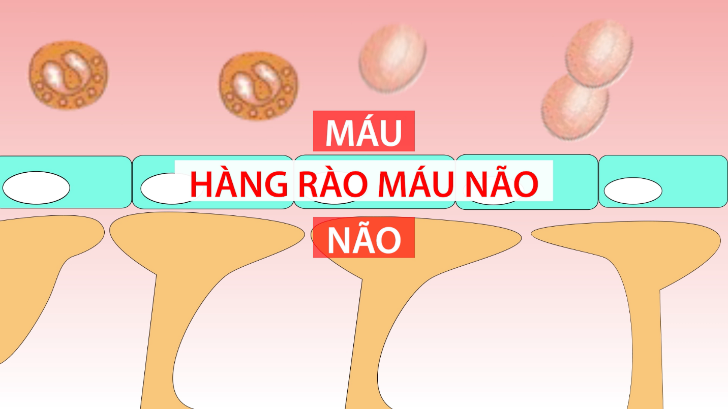 Bột ngọt và những hiểu lầm kéo dài nhiều năm - Ảnh 2.