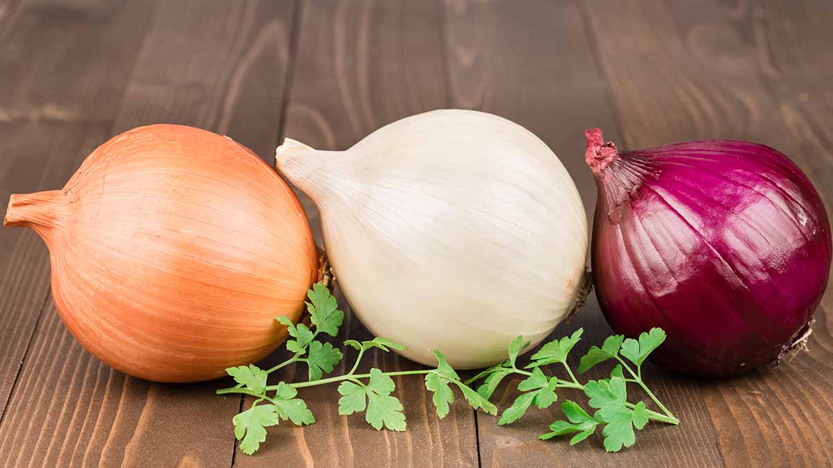 Nghiên cứu mới: Tin mừng cho những người thích ăn hành tây - Ảnh 1.