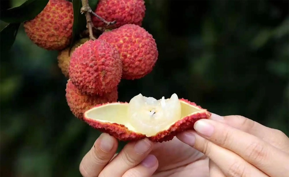  - Ảnh 3.