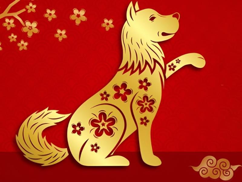 Chuy&ecirc;n gia dự b&aacute;o: 3 con gi&aacute;p c&oacute; vận may tốt nhất năm 2026, sự nghiệp thăng tiến v&agrave; t&agrave;i lộc dồi d&agrave;o- Ảnh 3.