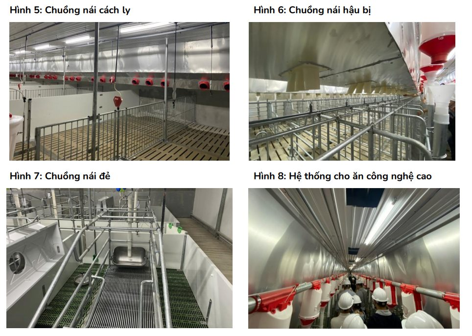 B&ecirc;n trong trang trại 900 tỷ ở Nghệ An d&ugrave;ng c&ocirc;ng nghệ cao từ Trung Quốc: Chở heo bằng xe tải kh&ocirc;ng người l&aacute;i, kh&ocirc;ng kh&iacute; phải qua 4 lớp lọc - Ảnh 3.