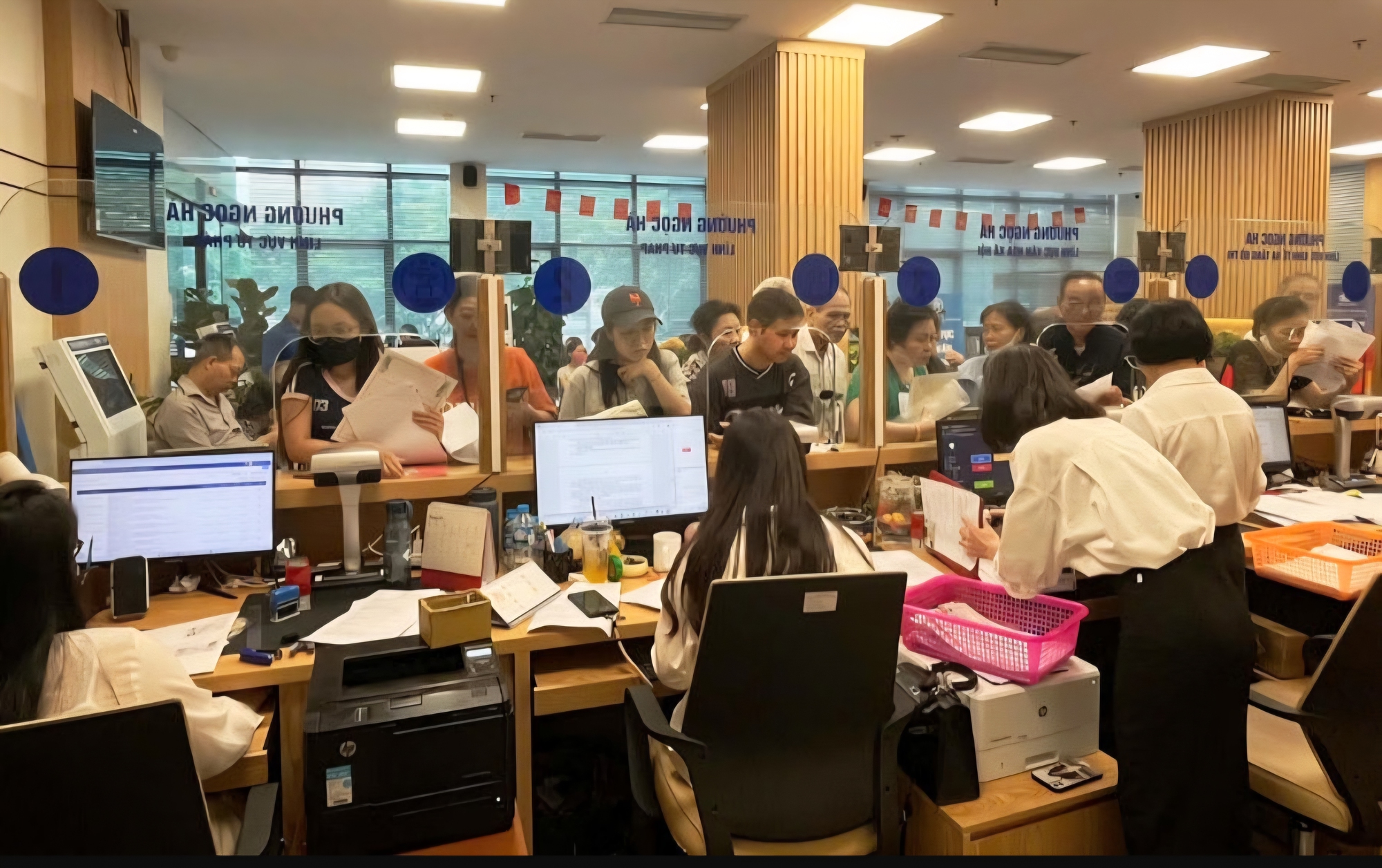 Nữ cán bộ yêu cầu cụ bà 97 tuổi đến phường làm thủ tục hành chính - Ảnh 1.