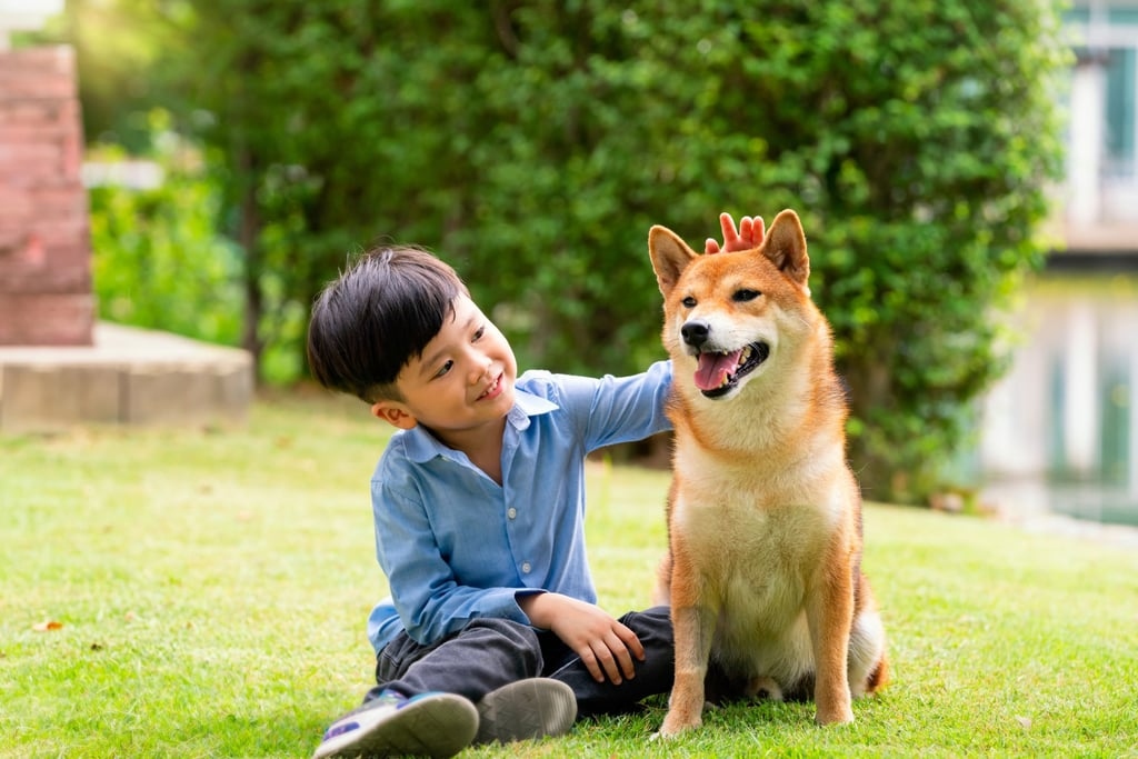 Tr&agrave;o lưu cho thu&ecirc; ch&oacute; theo giờ v&agrave; những g&oacute;c khuất tiềm ẩn - Ảnh 2.