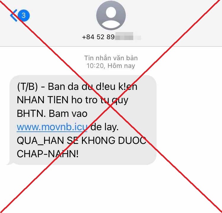  - Ảnh 1.