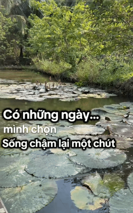 Nghỉ việc ở tuổi 32 , khởi nghiệp tiệm nước từ 6 triệu đồng tại miền Tây - Ảnh 20. Nghỉ việc ở tuổi 32 , khởi nghiệp tiệm nước từ 6 triệu đồng tại miền Tây - Ảnh 20.