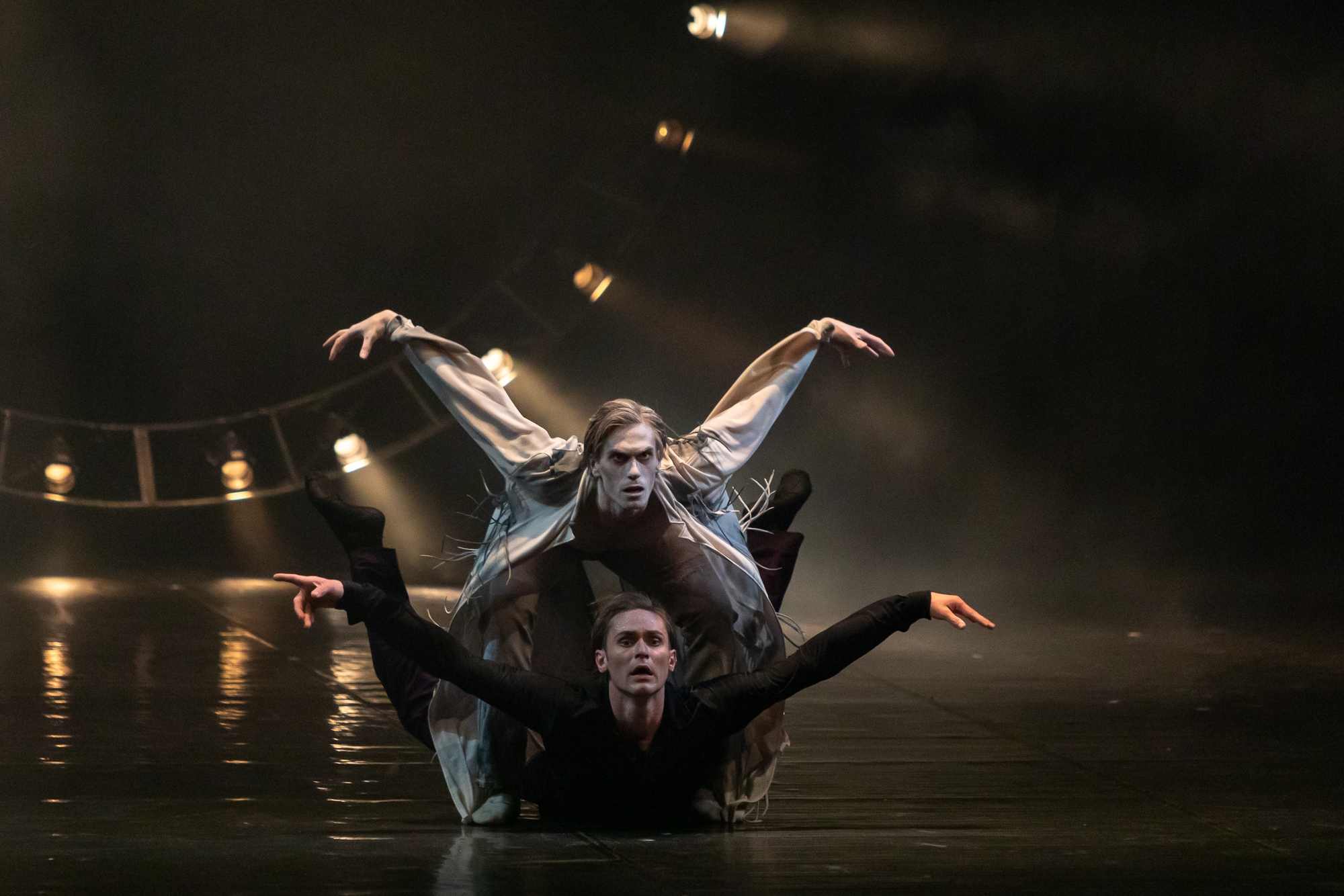 Eifman Ballet trở lại Việt Nam với kiệt t&aacute;c ballet Eugene Onegin - Ảnh 5.