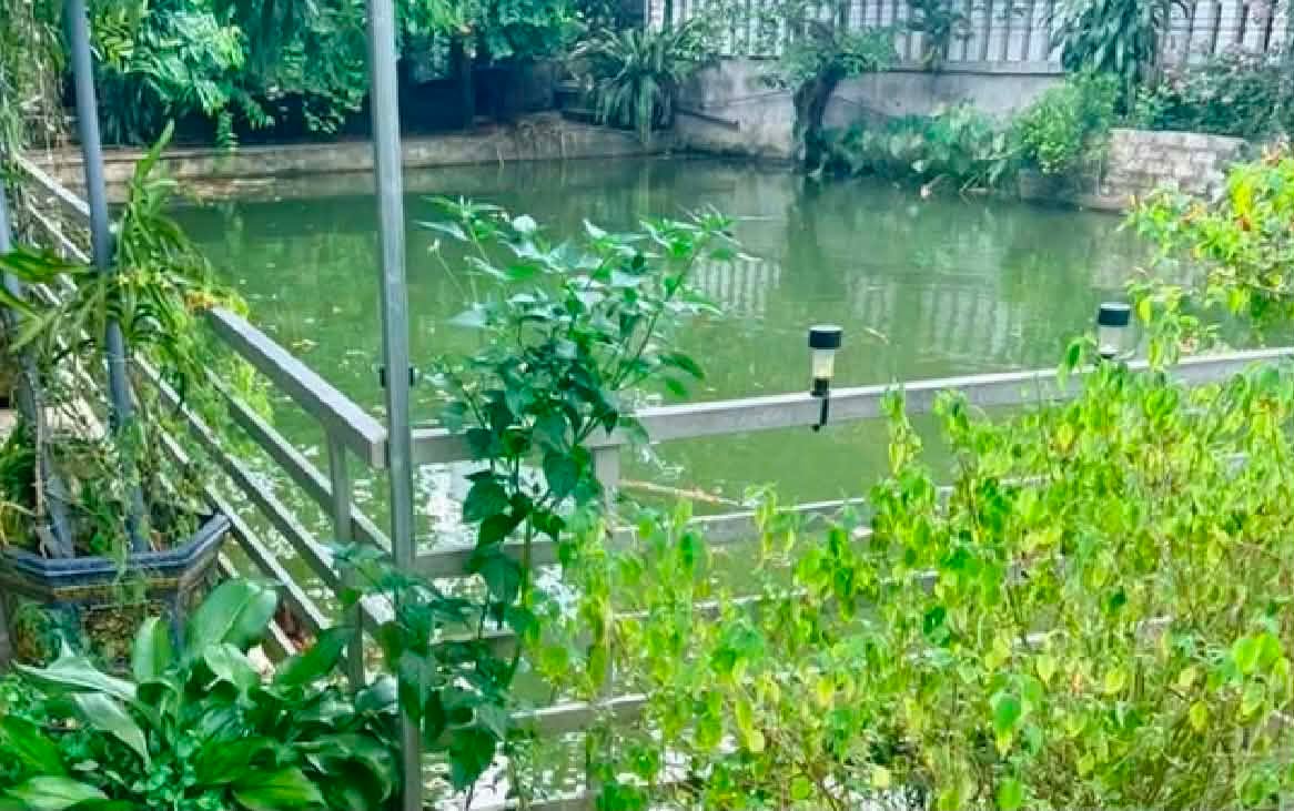Phát hiện thi thể chị em ruột 7 tuổi và 3 tuổi dưới ao hàng xóm: Đau xót hoàn cảnh gia đình nạn nhân  - Ảnh 2.