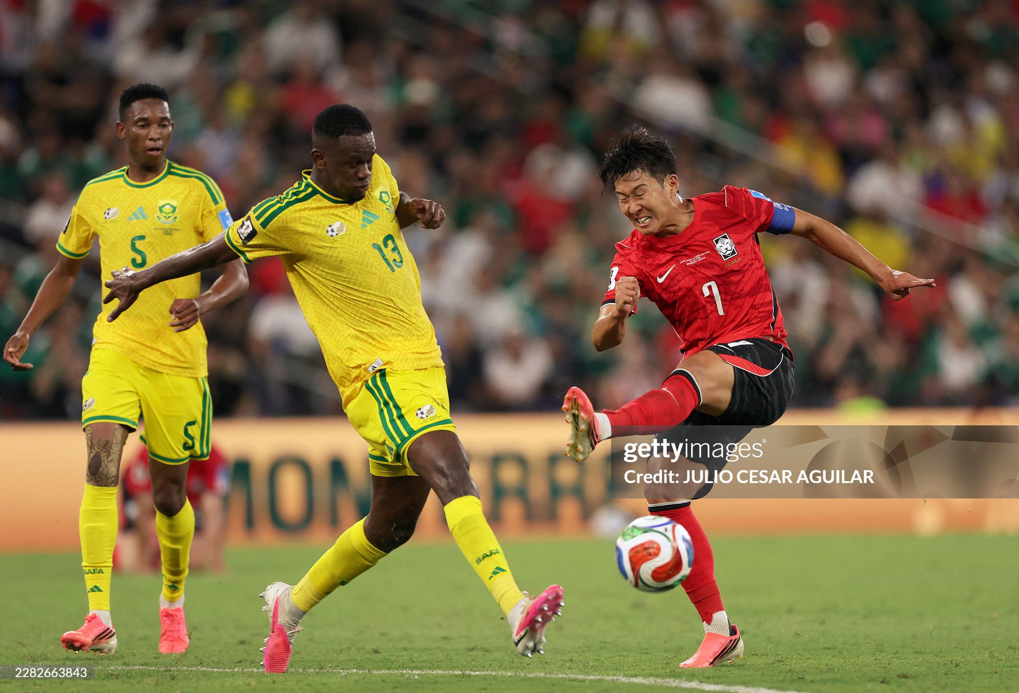 Nhận thất bại cay đắng, tuyển H&agrave;n Quốc ch&iacute;nh thức mất tấm v&eacute; v&agrave;o thẳng v&ograve;ng 1/16 World Cup - Ảnh 2.