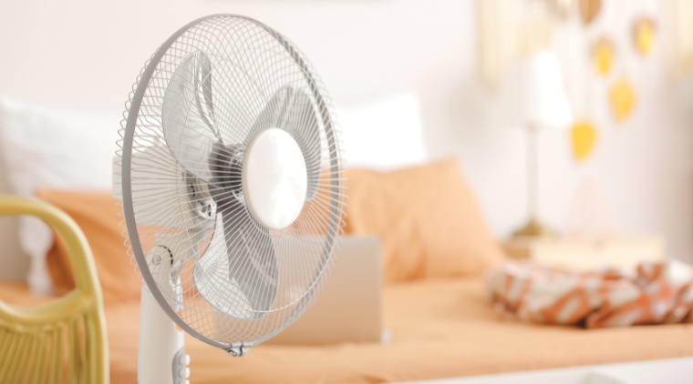 Dùng quạt 3 cánh hay 5 cánh mát hơn? Giật mình biết đáp án - Ảnh 2.