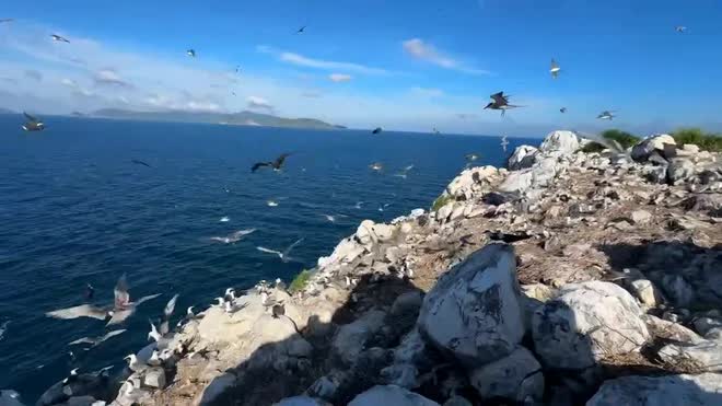 Lần đầu tiên: Toàn bộ người dân Việt Nam được trải nghiệm miễn phí 1 thứ - Ảnh 5.