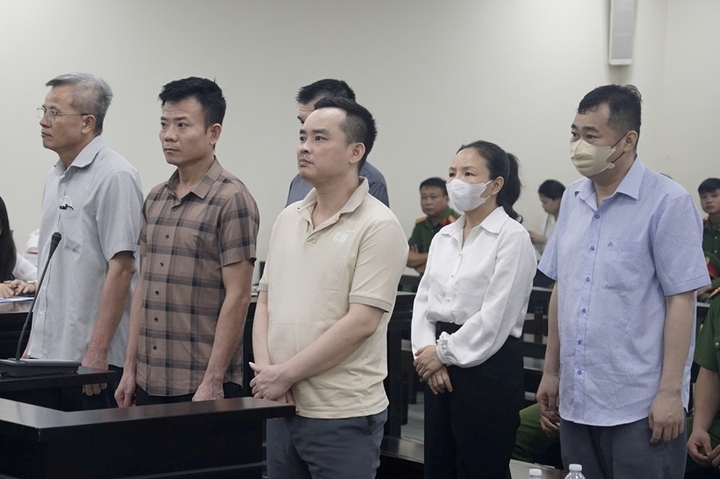 Cựu Chủ tịch C&ocirc;ng ty Nam Triệu Nguyễn Văn Hưng bị đề nghị 27 - 28 năm t&ugrave; - Ảnh 1.