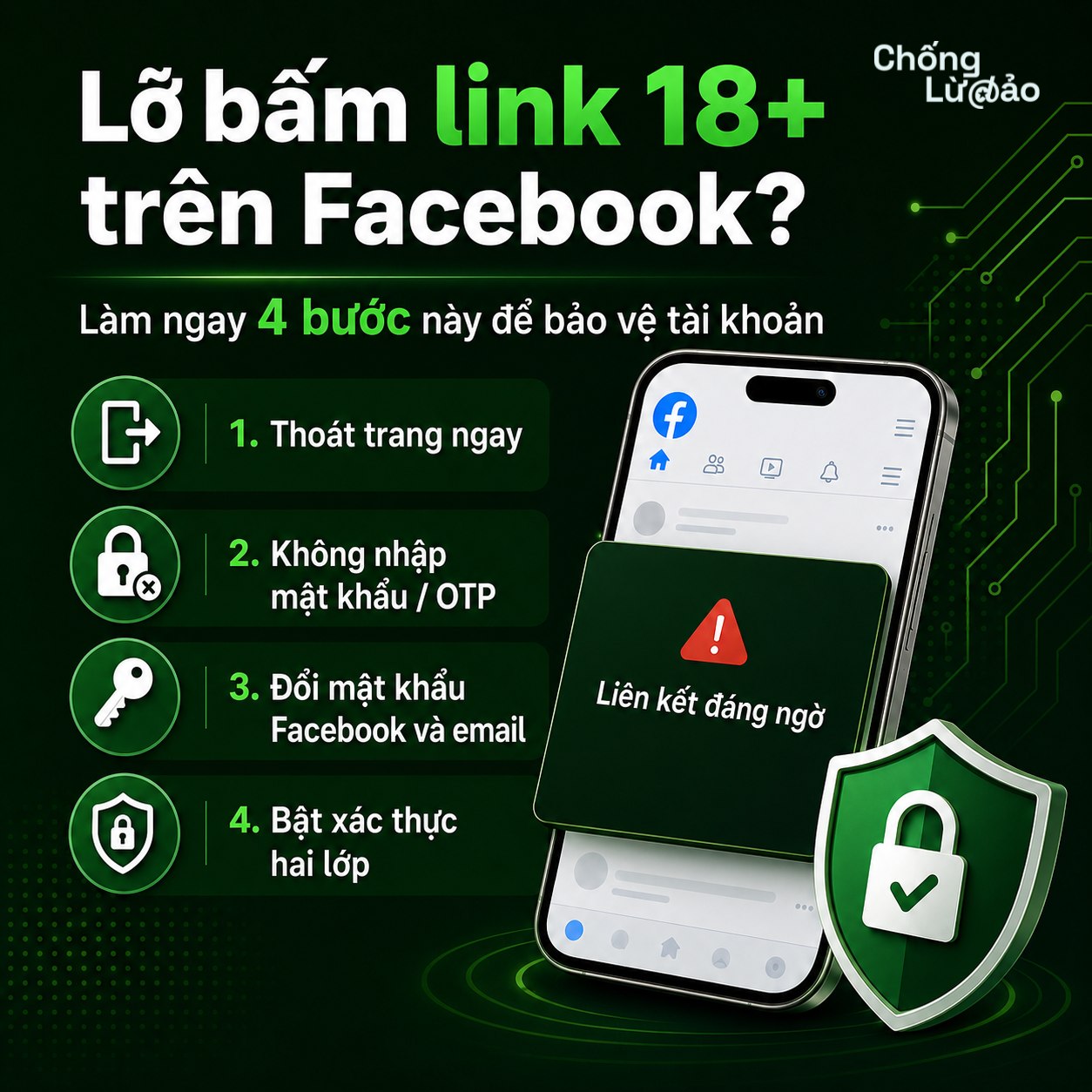  - Ảnh 1.