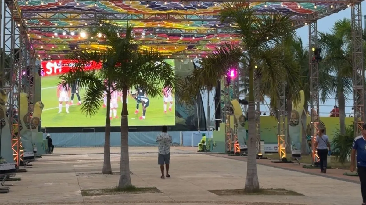 Trớ trêu khu fan zone World Cup miễn phí giữa đầm lầy cá sấu - Ảnh 2.