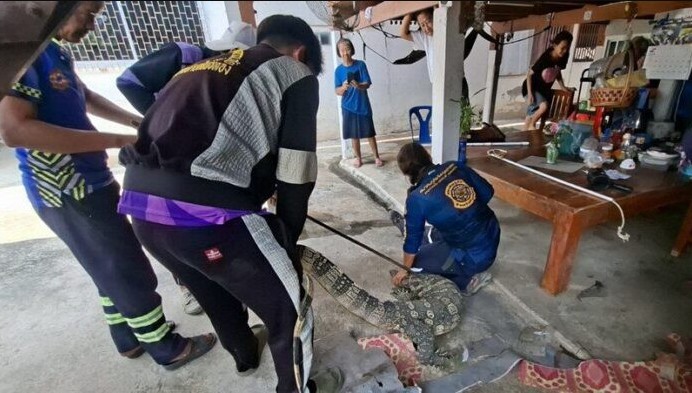 Một mình ở nhà, cụ bà 78 tuổi nghe tiếng động lạ rồi thất kinh thấy 