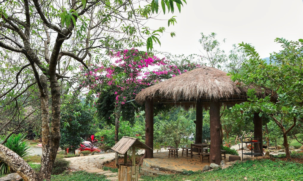 "&Ocirc;ng ho&agrave;ng nhạc đỏ" chia tay vợ đẹp như hoa hậu, thấy sướng khi sống 1 m&igrave;nh tr&ecirc;n đồi ở Thạch Thất - Ảnh 8.