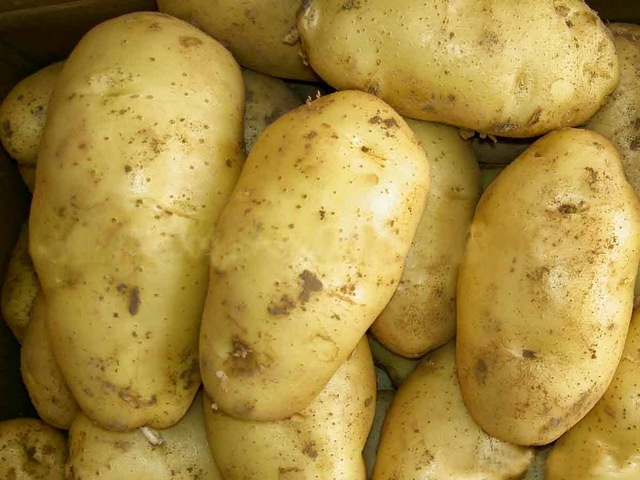 C&ocirc; h&agrave;ng x&oacute;m của t&ocirc;i đ&atilde; giảm 6kg trong 2 th&aacute;ng nhờ ăn khoai t&acirc;y v&agrave;o bữa s&aacute;ng- Ảnh 1.