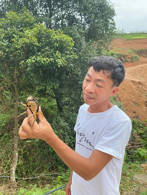 "&Ocirc;ng ho&agrave;ng nhạc đỏ" chia tay vợ đẹp như hoa hậu, thấy sướng khi sống 1 m&igrave;nh tr&ecirc;n đồi ở Thạch Thất - Ảnh 9.