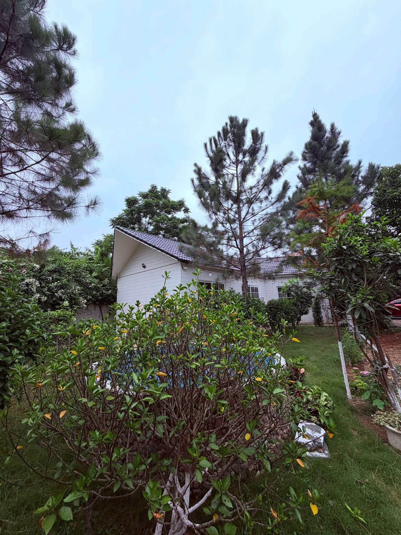  - Ảnh 4.