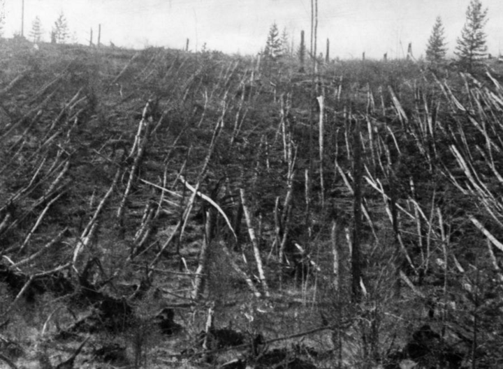Thảm họa Tunguska 118 năm: Thi&ecirc;n thạch rơi hay nổ từ l&ograve;ng đất? - Ảnh 3.