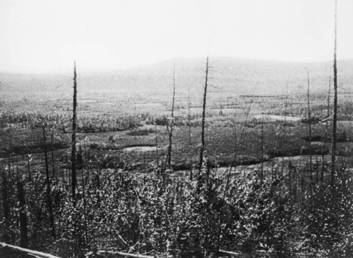 Thảm họa Tunguska 118 năm: Thi&ecirc;n thạch rơi hay nổ từ l&ograve;ng đất? - Ảnh 1.