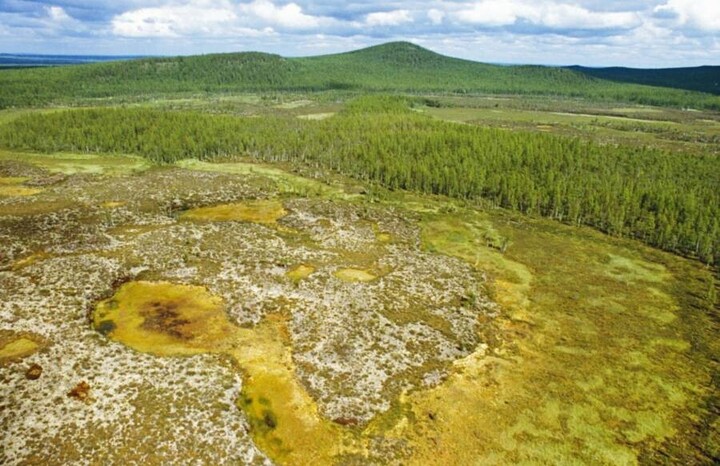 Thảm họa Tunguska 118 năm: Thi&ecirc;n thạch rơi hay nổ từ l&ograve;ng đất? - Ảnh 4.