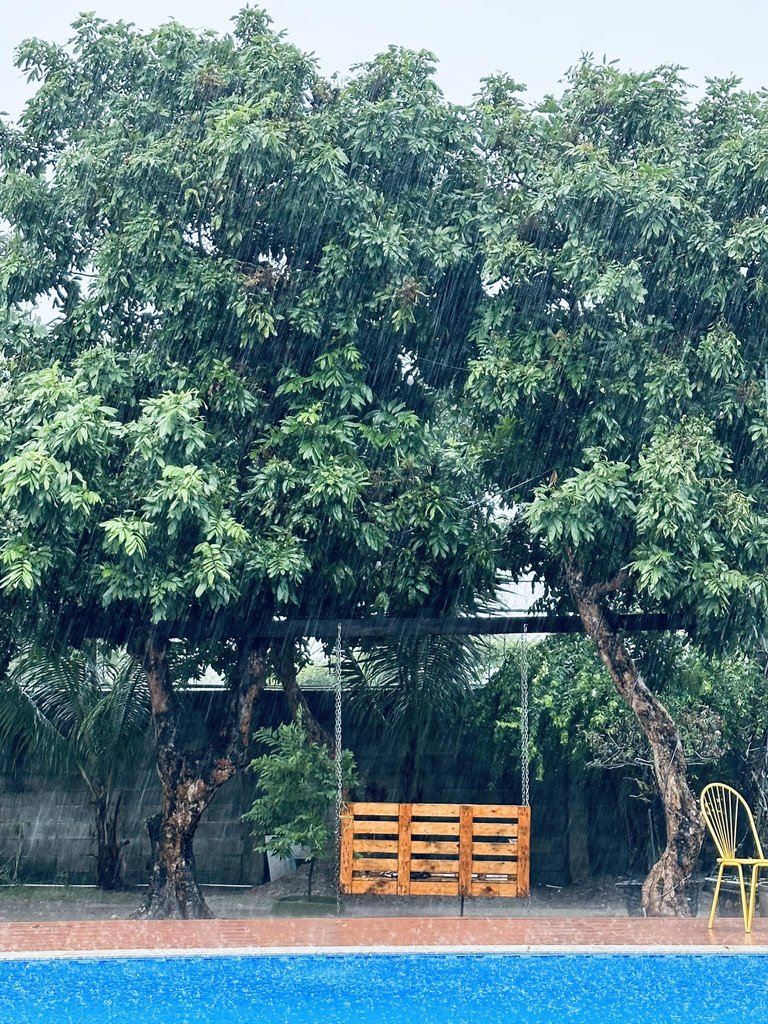  - Ảnh 7.