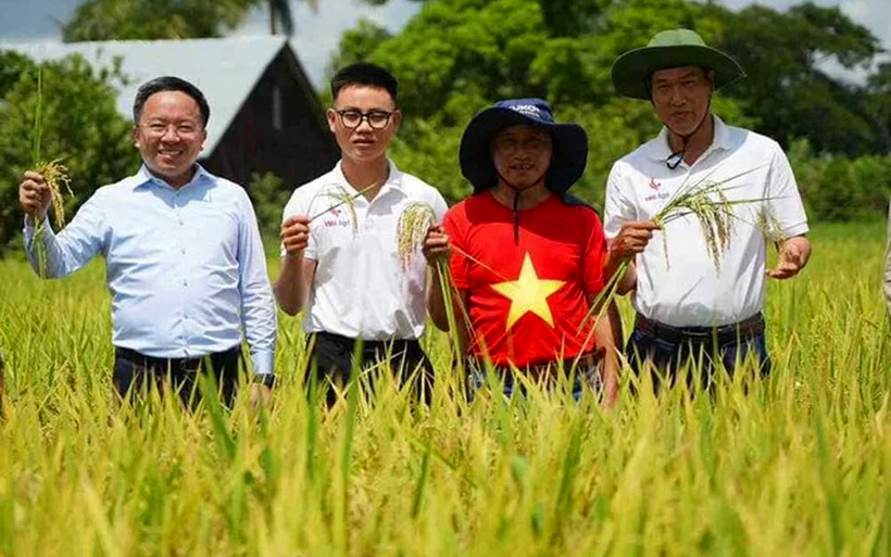 Vượt nửa v&ograve;ng Tr&aacute;i đất đến Cuba: Kỹ sư Việt bắt tay l&agrave;m ngay 1 việc, kỳ t&iacute;ch xuất hiện v&agrave;o th&aacute;ng 5/2026