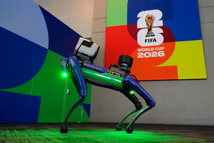 Chó robot 