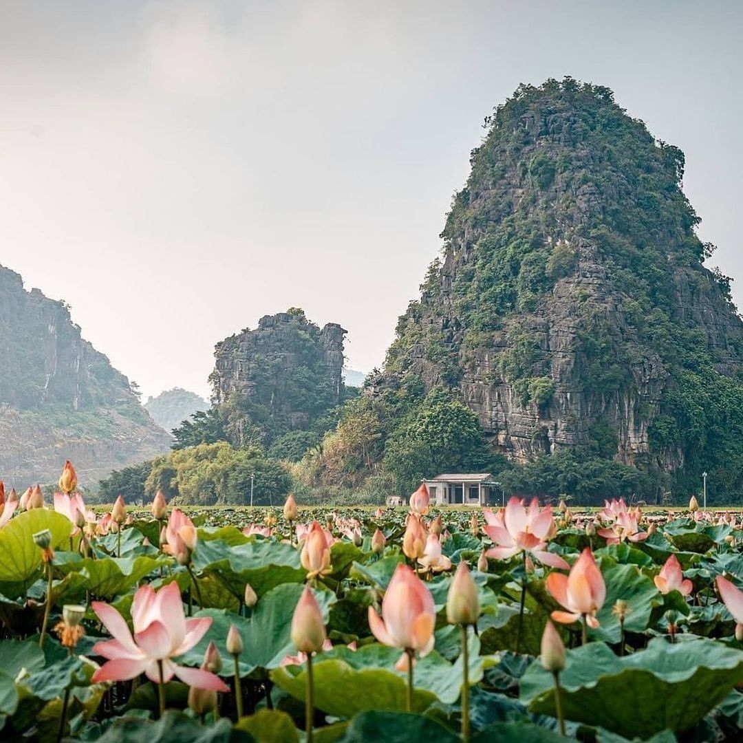 Cẩm nang kh&aacute;m ph&aacute; Ninh B&igrave;nh th&aacute;ng 6: Đi đ&acirc;u, ăn g&igrave; để tr&aacute;nh n&oacute;ng - Ảnh 10.