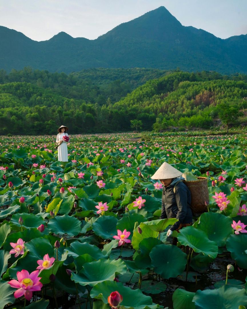 Cẩm nang kh&aacute;m ph&aacute; Ninh B&igrave;nh th&aacute;ng 6: Đi đ&acirc;u, ăn g&igrave; để tr&aacute;nh n&oacute;ng - Ảnh 2.