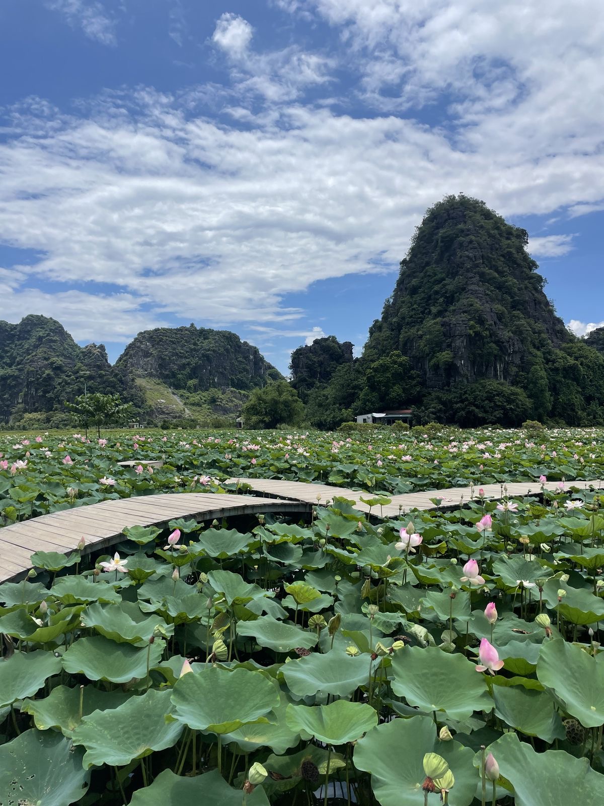 Cẩm nang kh&aacute;m ph&aacute; Ninh B&igrave;nh th&aacute;ng 6: Đi đ&acirc;u, ăn g&igrave; để tr&aacute;nh n&oacute;ng - Ảnh 4.