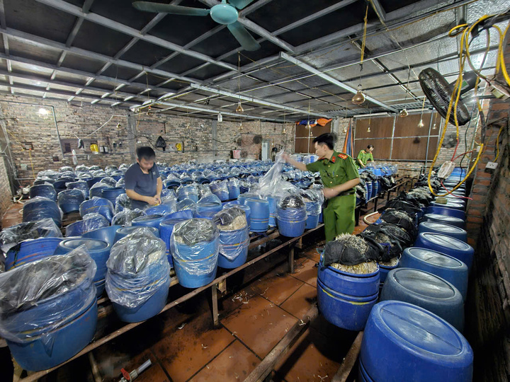 3 Người bị bắt v&igrave; Tuồn 1 . 000 Tấn gi&aacute; đỗ ng&acirc;m h&oacute;a chất ra thị trường - Ảnh 2.