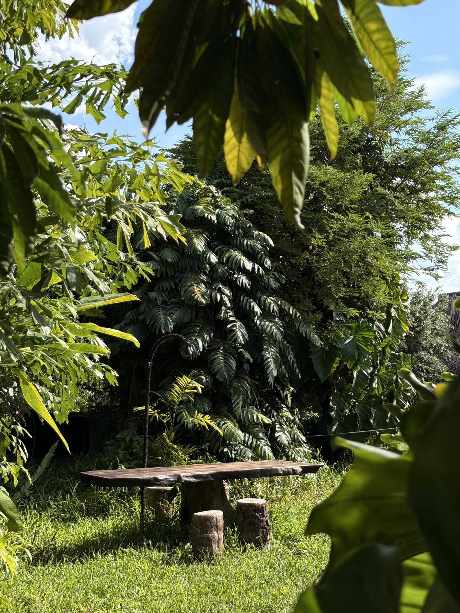 Mẹ đơn th&acirc;n Ph&uacute; Thọ lấy thiếu gia nhỏ hơn 2 tuổi, sống giữa khu nghỉ dưỡng rộng 12.000m2 vẫn b&aacute;n h&agrave;ng online để &ldquo;mưu sinh&rdquo;- Ảnh 3.