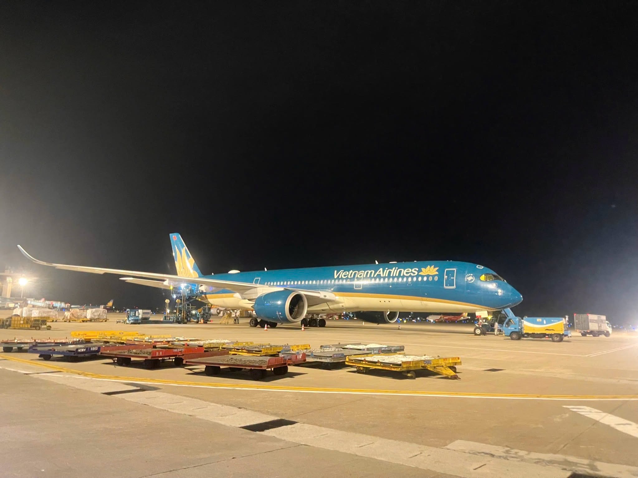 Đêm qua, một máy bay Vietnam Airlines không chở bất kỳ hành khách nào cất cánh từ sân bay Nội Bài - Ảnh 1.