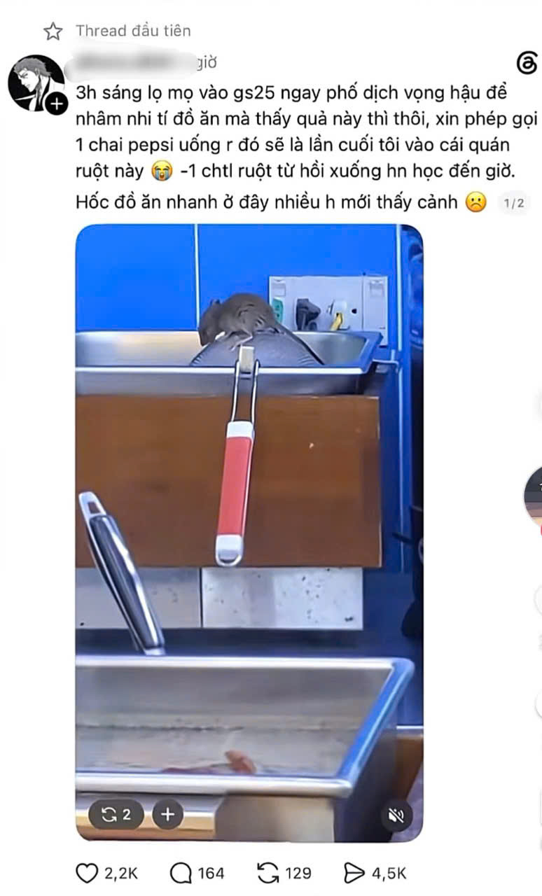  - Ảnh 3.