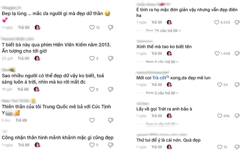  - Ảnh 3.