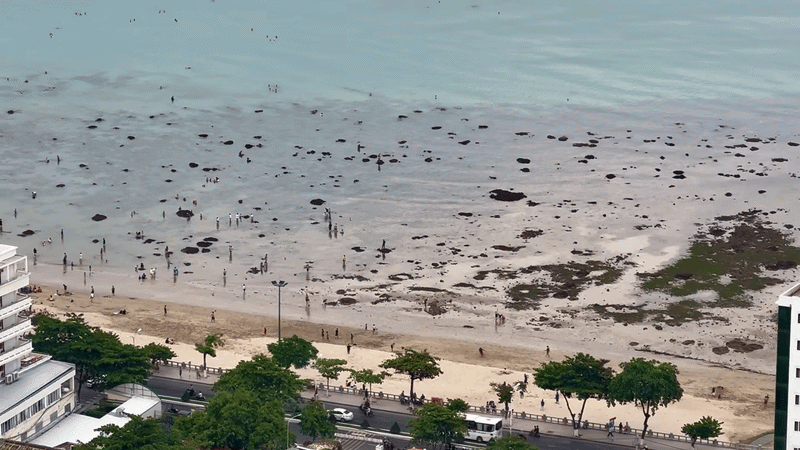 Cảnh tượng ở bãi biển Nha Trang khiến nhiều người bất ngờ, nhận xét: Không tin vào mắt mình - Ảnh 1.
