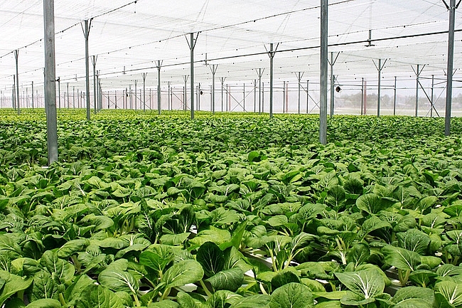 T&iacute;ch c&oacute;p gần 20 năm mới c&oacute; căn nh&agrave; v&agrave; hơn 1 tỷ đồng tiết kiệm, giờ nghe vợ "l&ecirc;n kế hoạch" m&agrave; t&ocirc;i su&yacute;t đ&aacute;nh rơi cốc nước- Ảnh 1.