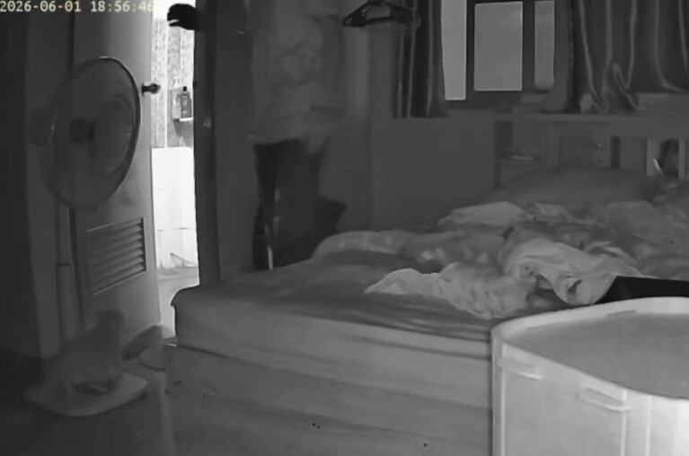 Mèo cưng bỗng run lẩy bẩy khi chủ về phòng, cô gái xem lại camera rồi vội báo cảnh sát ngay trong đêm - Ảnh 4.