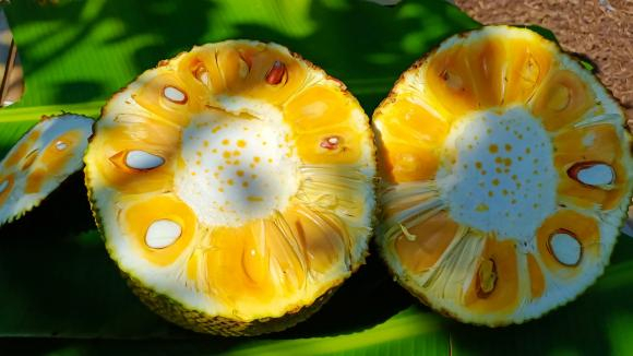 6 mẹo chọn m&iacute;t ch&iacute;n c&acirc;y, nhiều m&uacute;i, thơm ngọt tự nhi&ecirc;n - Ảnh 3.