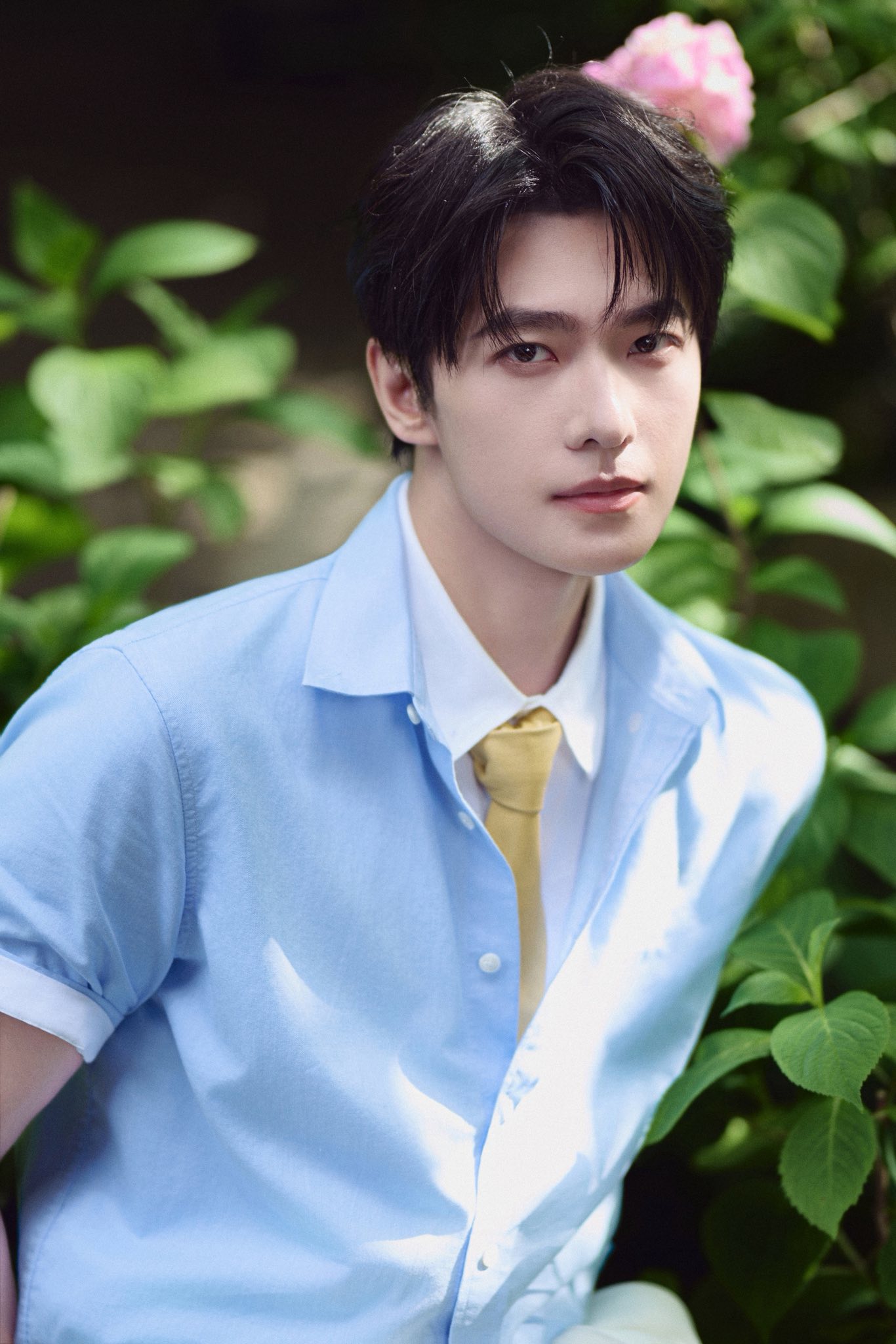  - Ảnh 2.