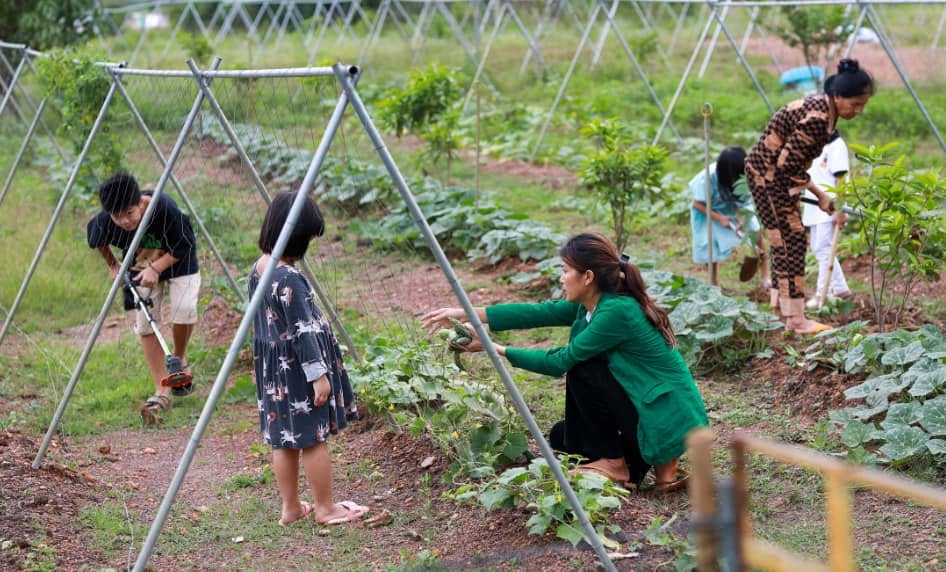 Hoa hậu đ&ocirc;ng con nhất Việt Nam rao b&aacute;n đất 25 tỷ ở Đồng Nai, từng muốn sang Campuchia b&aacute;n phở - Ảnh 4.