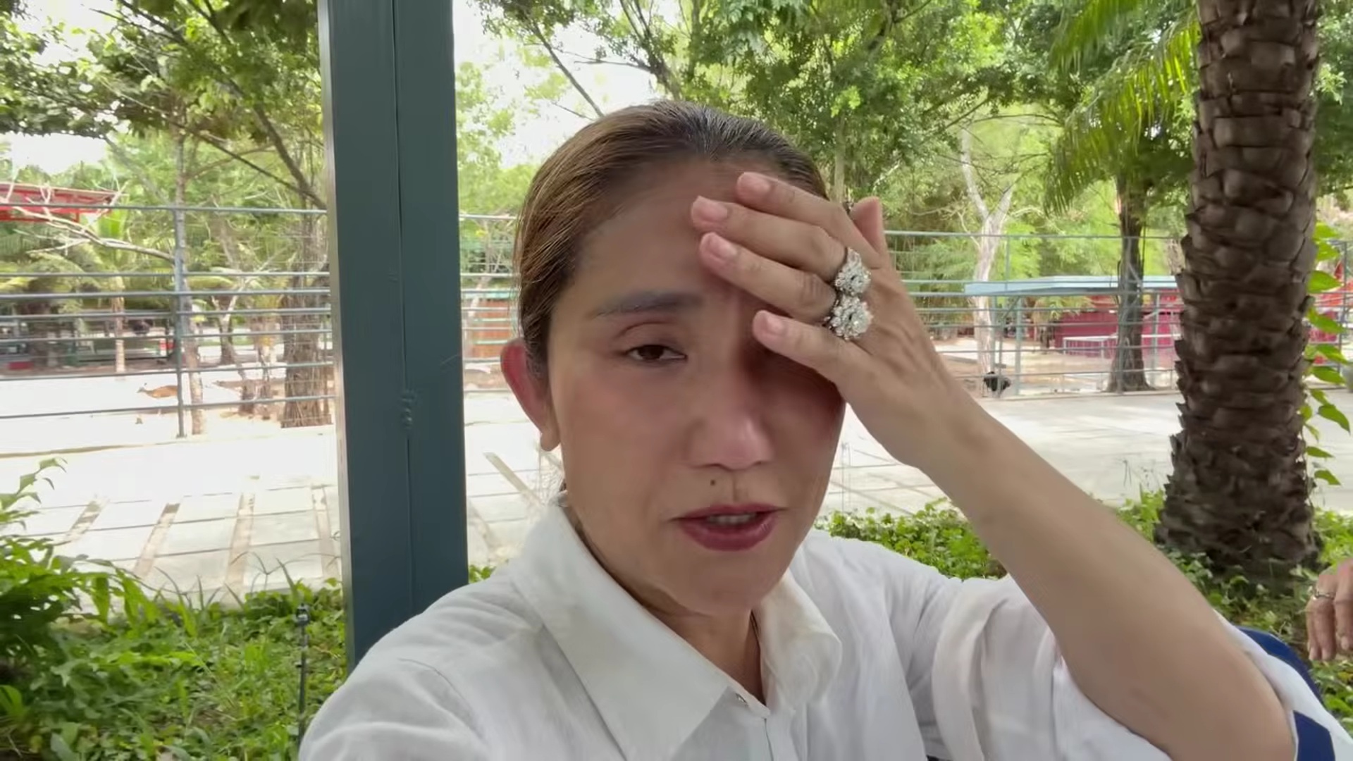  - Ảnh 1.