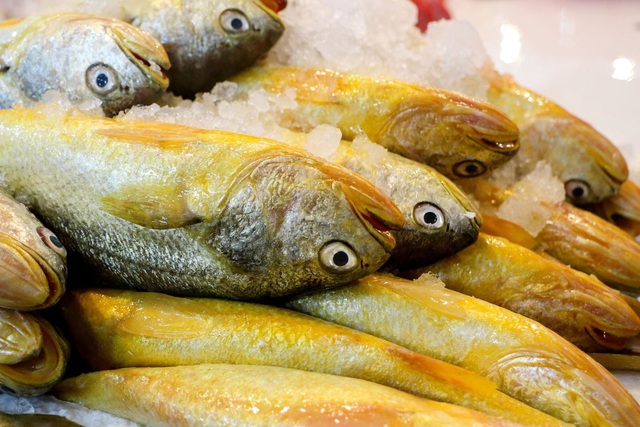 M&ugrave;a h&egrave; h&atilde;y chọn 5 loại c&aacute; n&agrave;y &iacute;t nguy cơ t&iacute;ch lũy kim loại nặng, bổ n&atilde;o, s&aacute;ng mắt, tăng miễn dịch, gi&aacute; c&ograve;n rất rẻ - Ảnh 4.