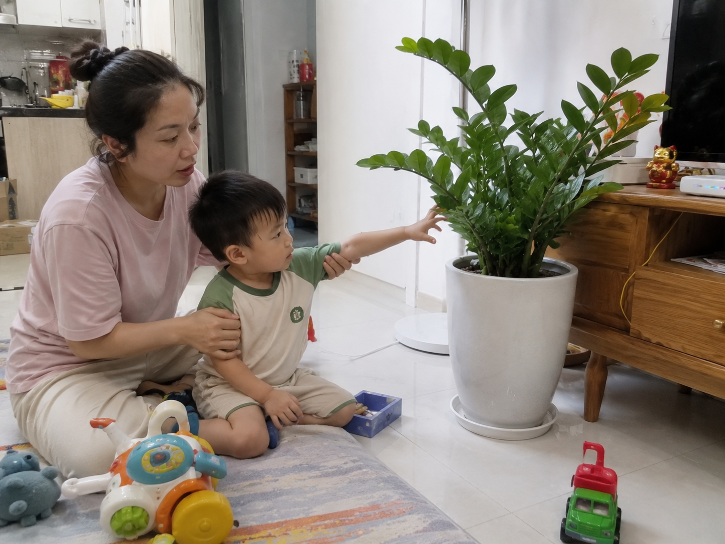 C&acirc;y kim tiền được xem l&agrave; &ldquo;h&uacute;t t&agrave;i lộc&rdquo;, nhưng c&oacute; 3 kiểu gia đ&igrave;nh n&ecirc;n c&acirc;n nhắc kỹ trước khi mua về nh&agrave;- Ảnh 2.