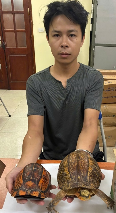 Bắt người bán rùa Nguyễn Thanh Tùng SN 1990 - Ảnh 1.