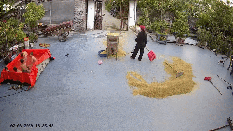 Cảnh tượng bất ngờ trong sân nhà của một gia đình ở Hà Nội có 5 trẻ đang nghỉ hè - Ảnh 1.