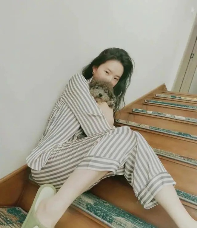  - Ảnh 24.