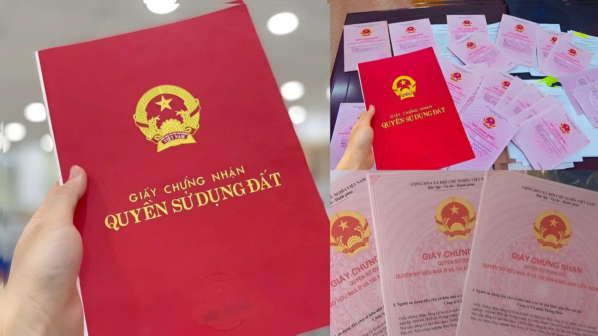 Năm 2026, những trường hợp sau sẽ bị thu hồi Sổ đỏ - Ảnh 1.